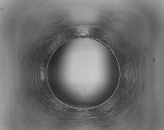 X0000063501442200601231425