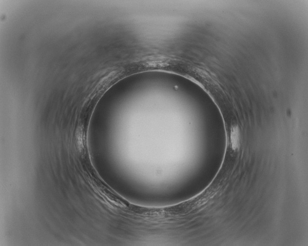 X0000063501444200601231425