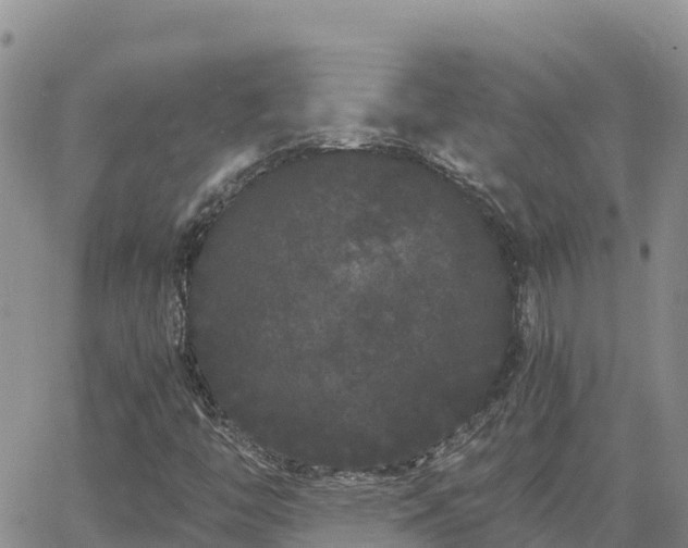 X0000063501446200601231425