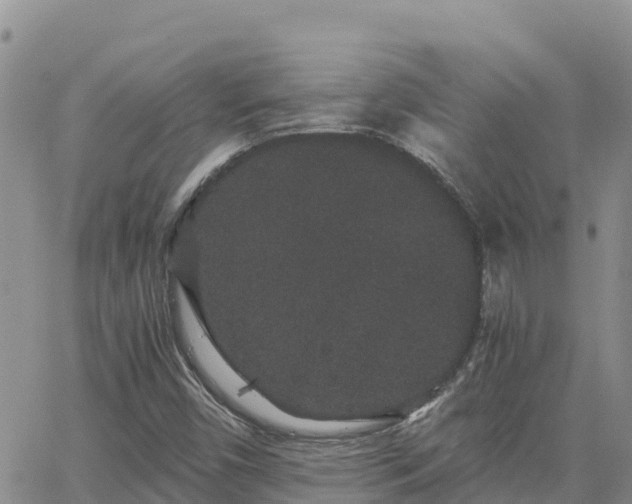 X0000063501450200601231425