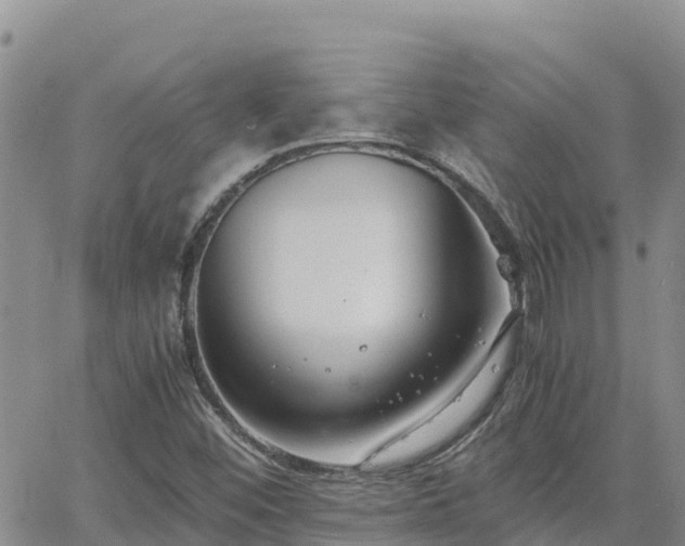 X0000063501452200601231425