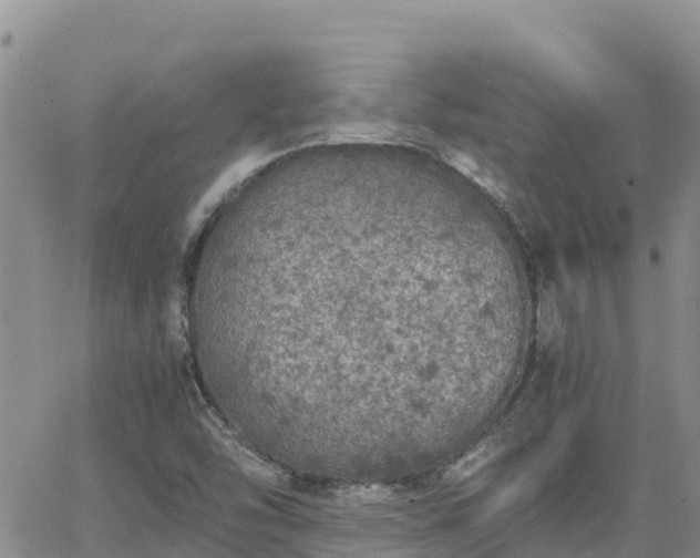 X0000063501454200601231425