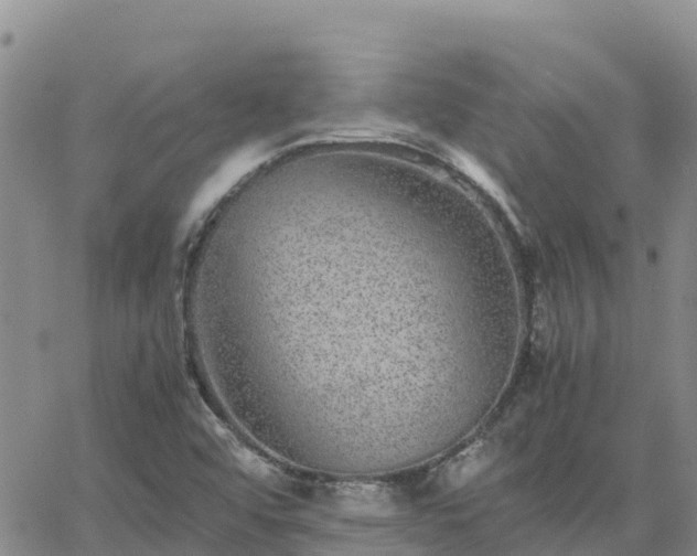 X0000063501456200601231425