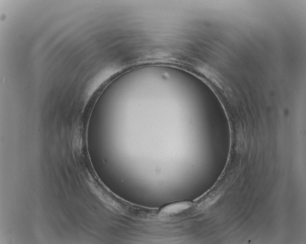 X0000063501458200601231425