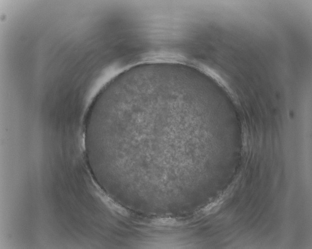 X0000063501462200601231425