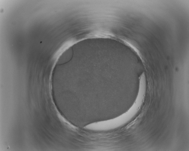 X0000063501471200601231425