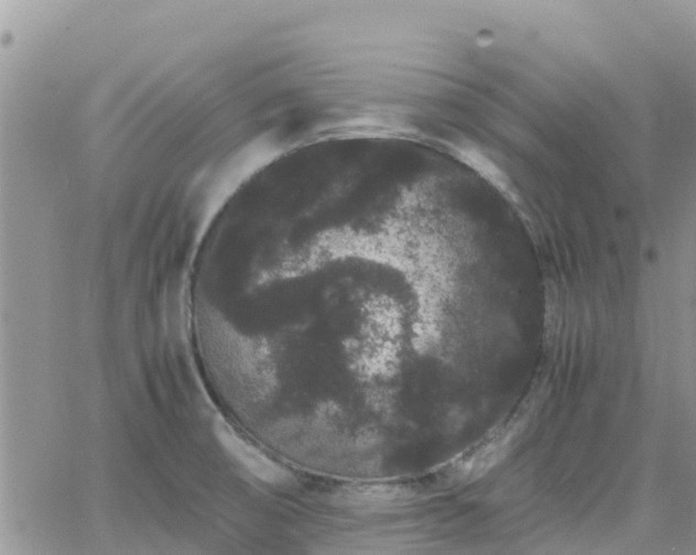 X0000063501474200601231425