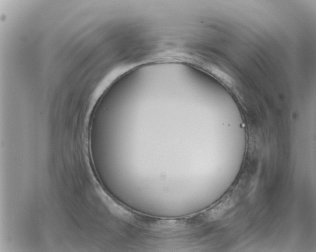 X0000063501478200601231425