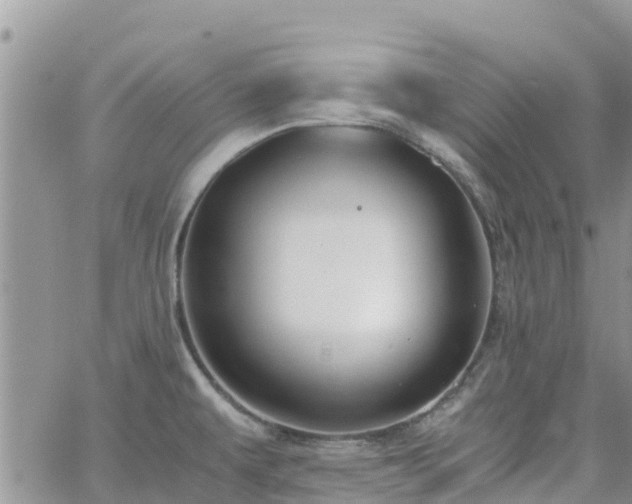 X0000063501479200601231425