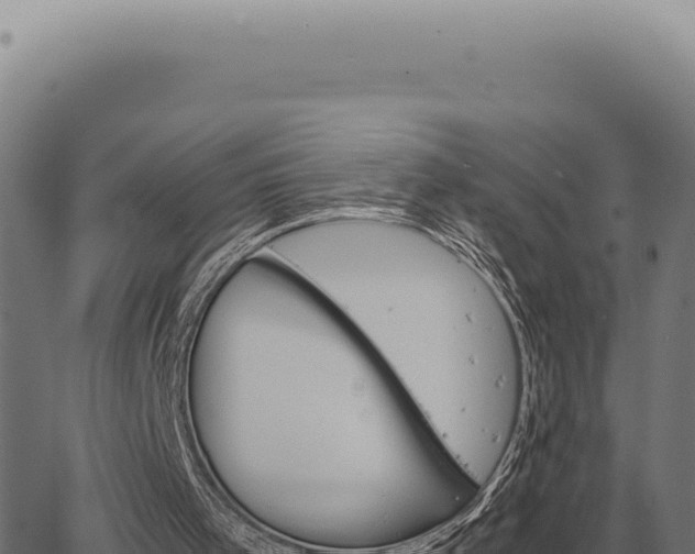 X0000063500001200601271757