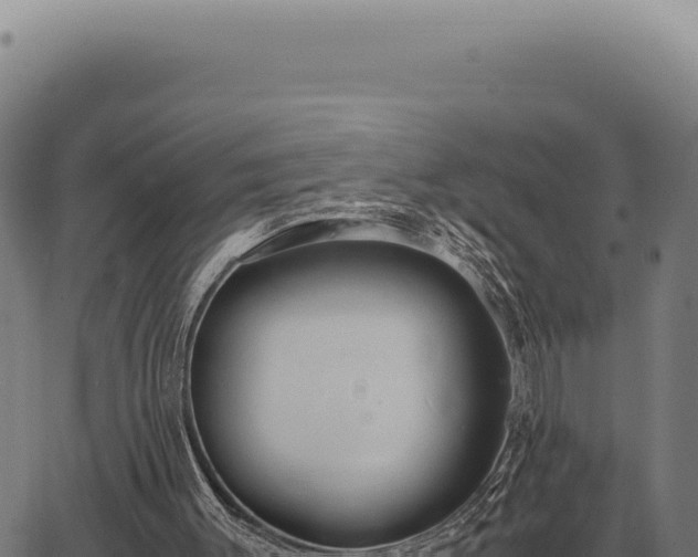 X0000063500003200601271757