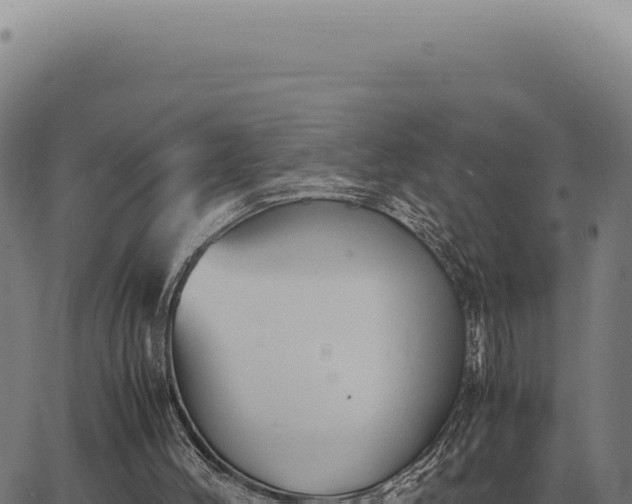 X0000063500004200601271756