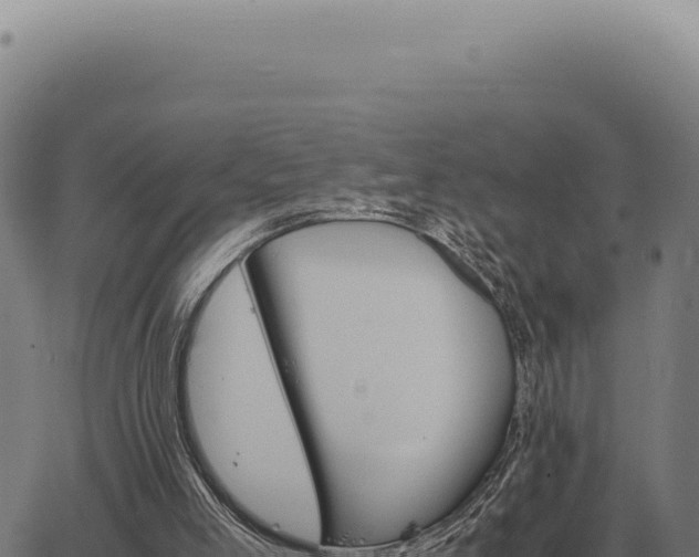 X0000063500005200601271756