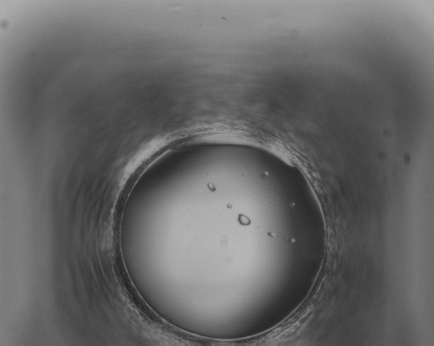 X0000063500008200601271756