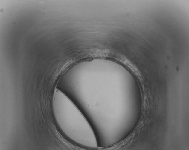 X0000063500009200601271756