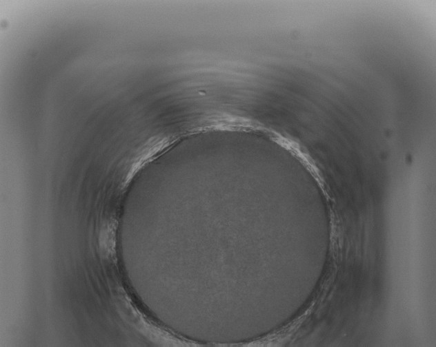 X0000063500010200601271756