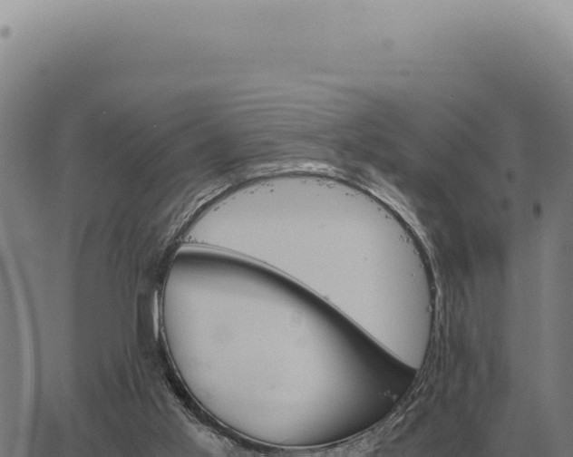 X0000063500013200601271756