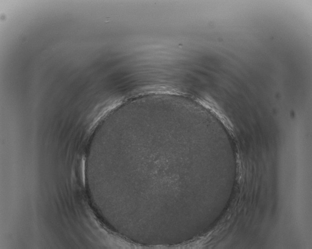 X0000063500014200601271756