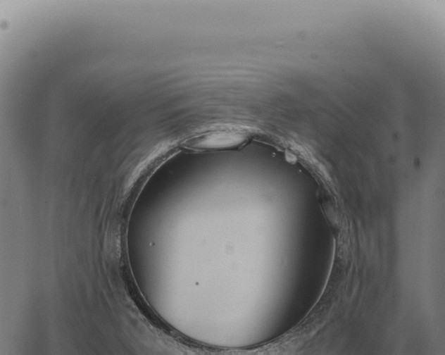 X0000063500015200601271756