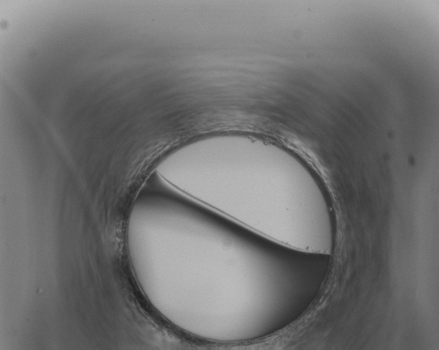 X0000063500017200601271756