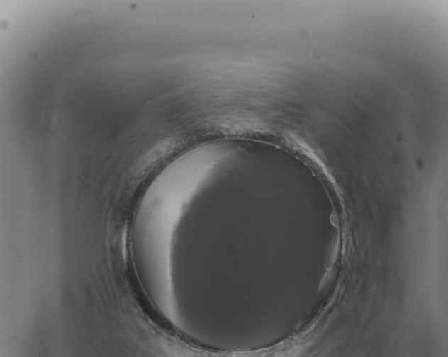 X0000063500019200601271756