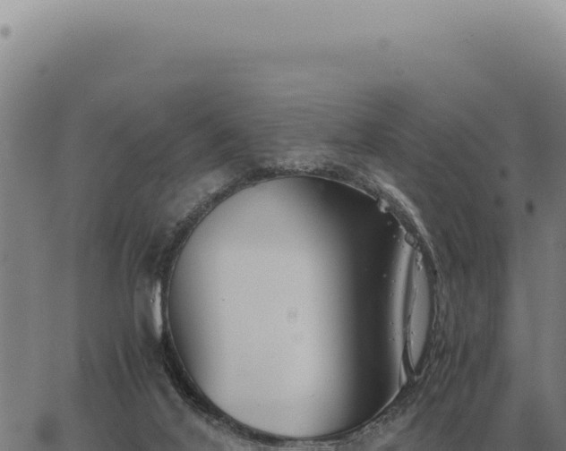 X0000063500020200601271756