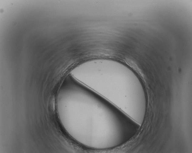 X0000063500021200601271756