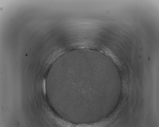 X0000063500022200601271756