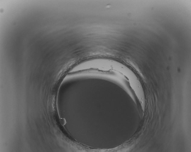 X0000063500023200601271756