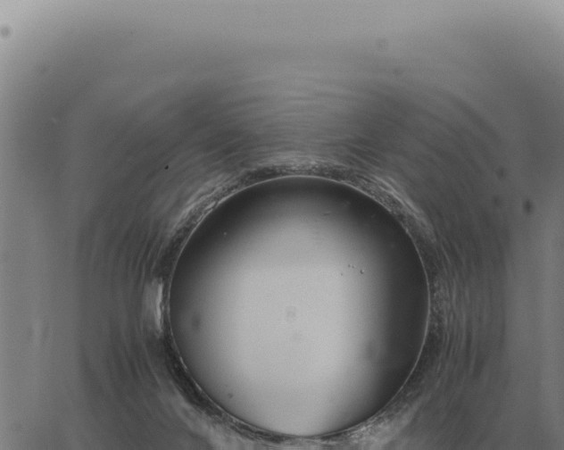 X0000063500024200601271756