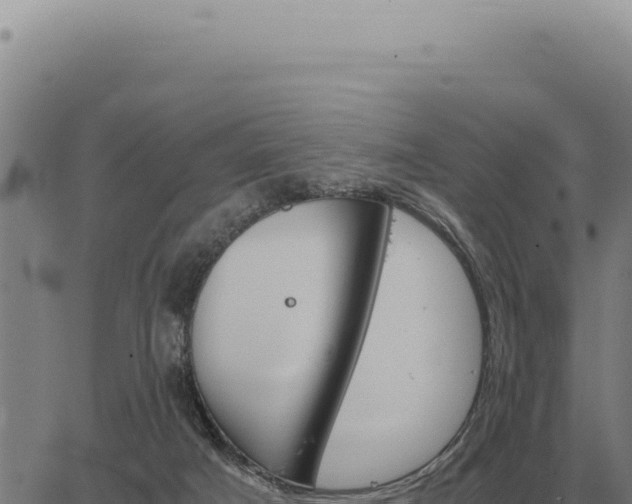 X0000063500025200601271756