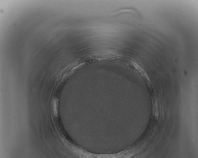 X0000063500026200601271756