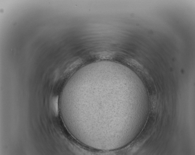 X0000063500028200601271756