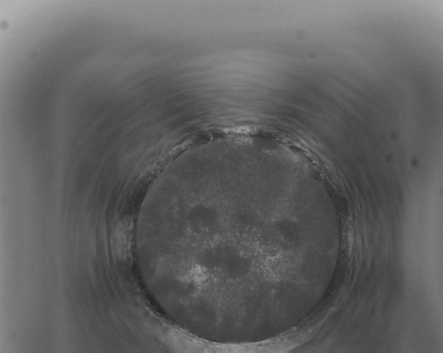 X0000063500030200601271756