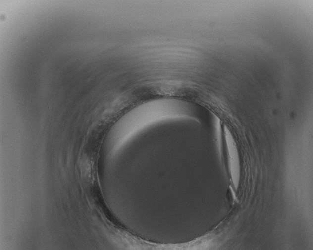 X0000063500031200601271756