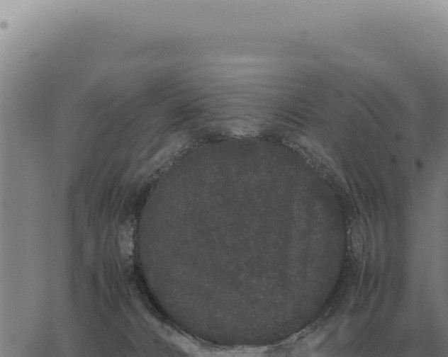 X0000063500032200601271756