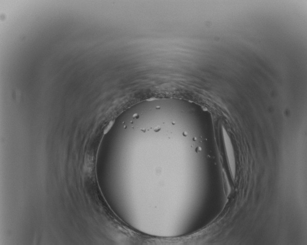 X0000063500033200601271756