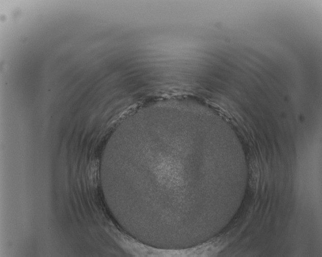 X0000063500034200601271756