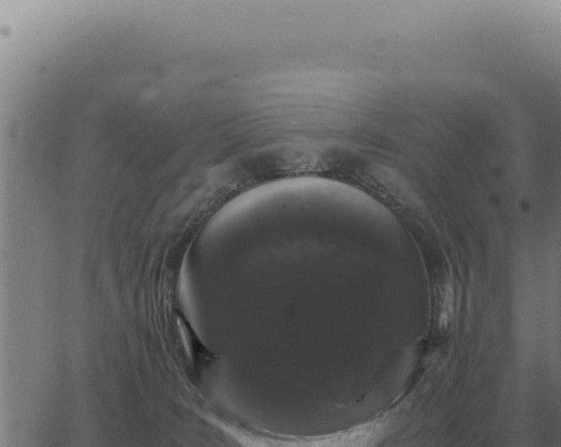 X0000063500035200601271756