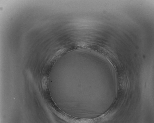 X0000063500036200601271756