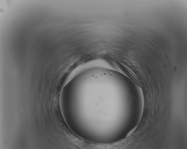 X0000063500037200601271756