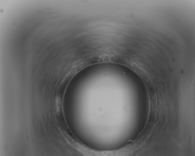 X0000063500038200601271756