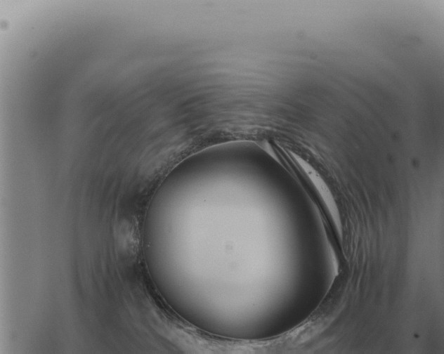 X0000063500040200601271756