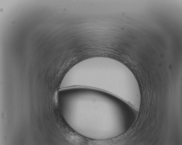 X0000063500041200601271756