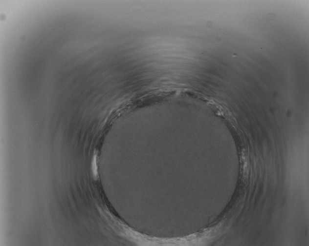 X0000063500042200601271756