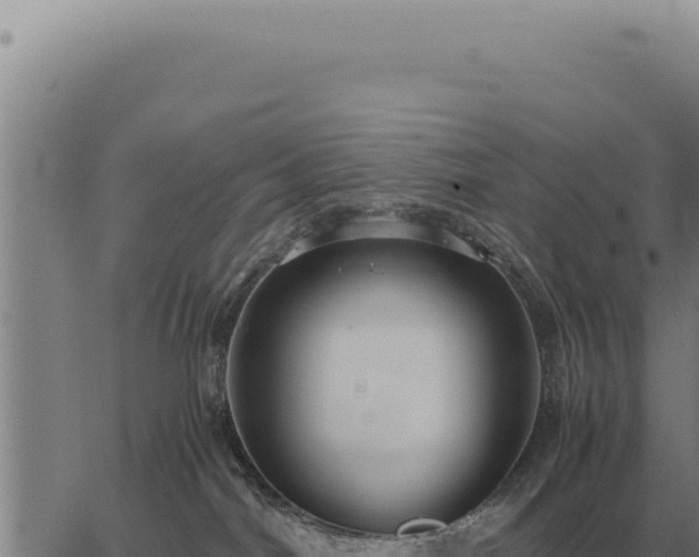 X0000063500044200601271756