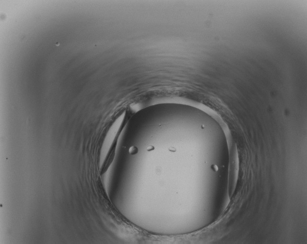 X0000063500045200601271756