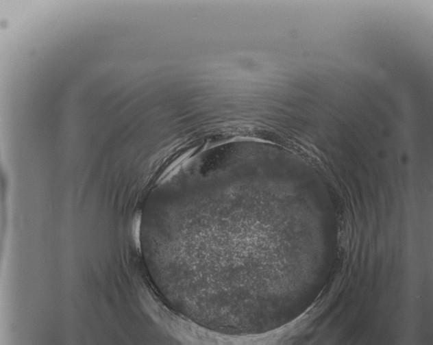 X0000063500047200601271756