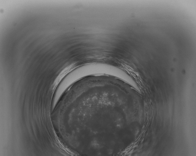 X0000063500051200601271755