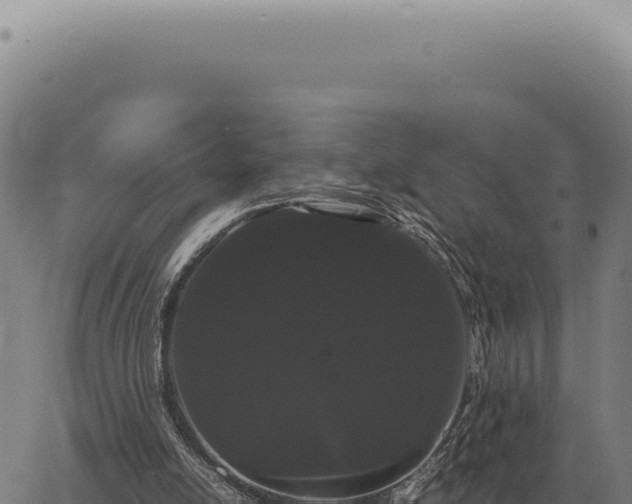 X0000063500054200601271755